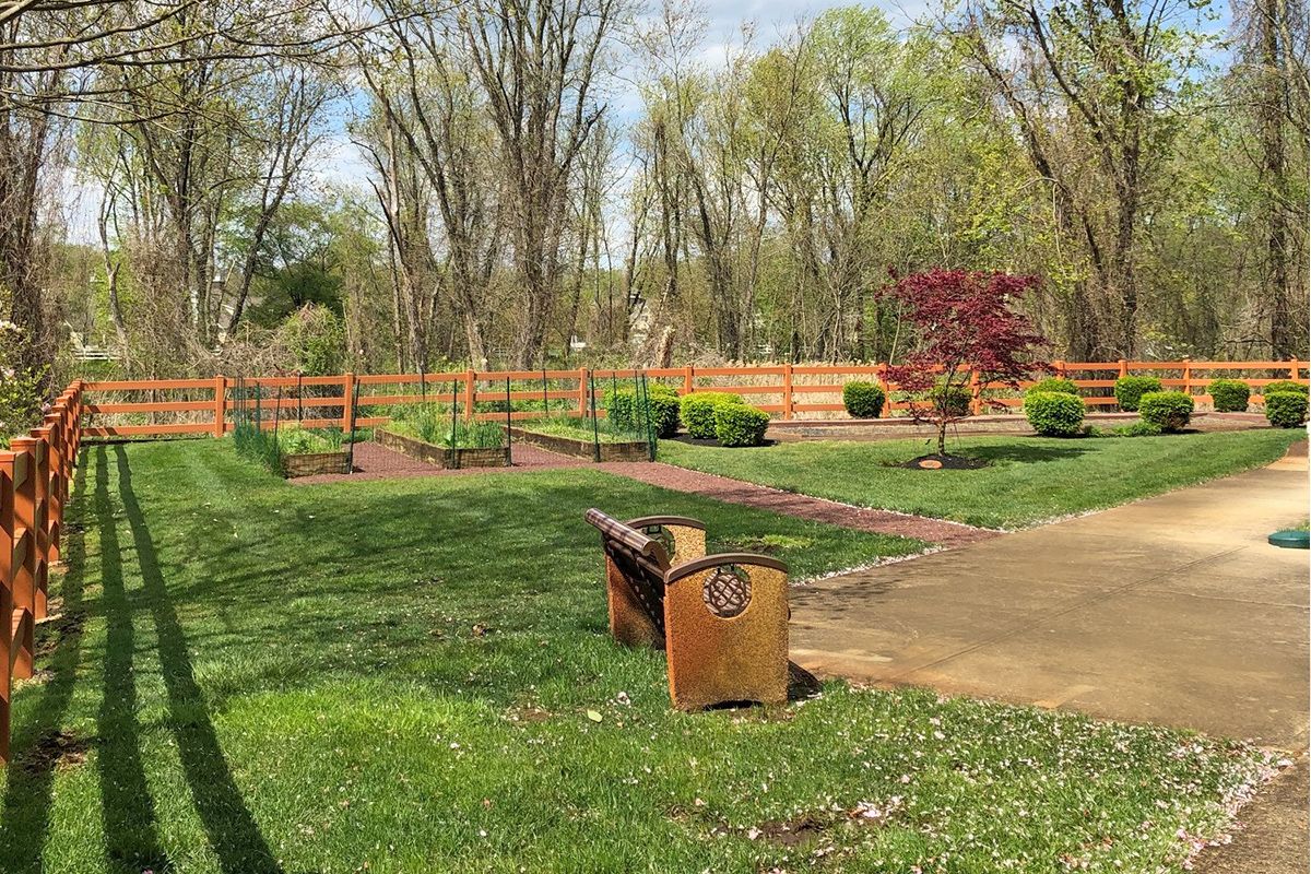 A peaceful park scene with a bench overlooking a pathway and surrounding trees.