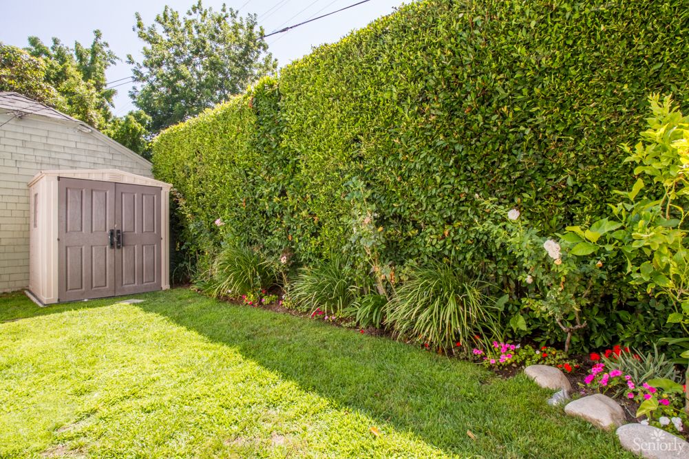 A neatly maintained backyard garden with a tall hedge and lush green lawn.