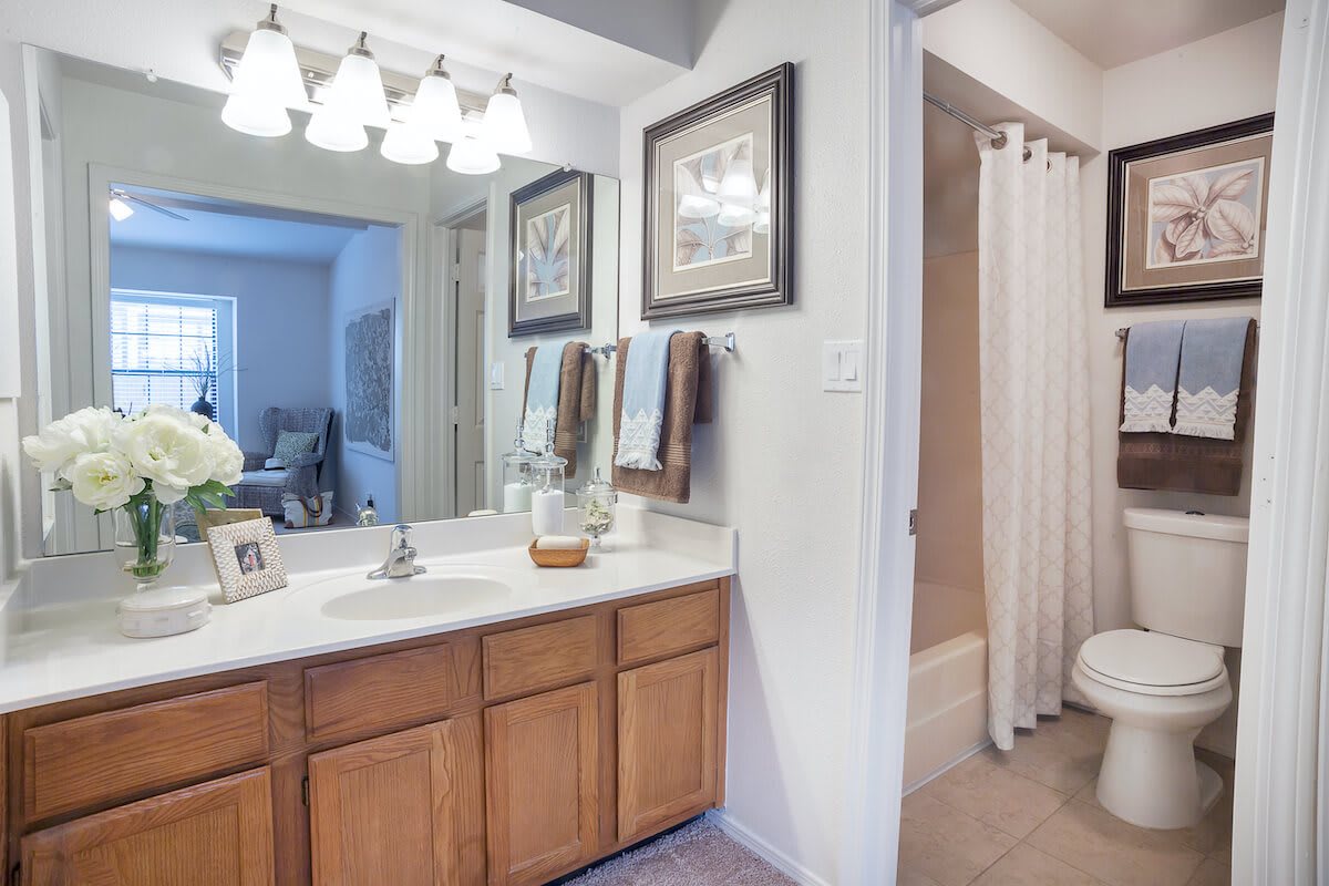 A well-lit bathroom with a vanity, mirror, and decorative artwork.