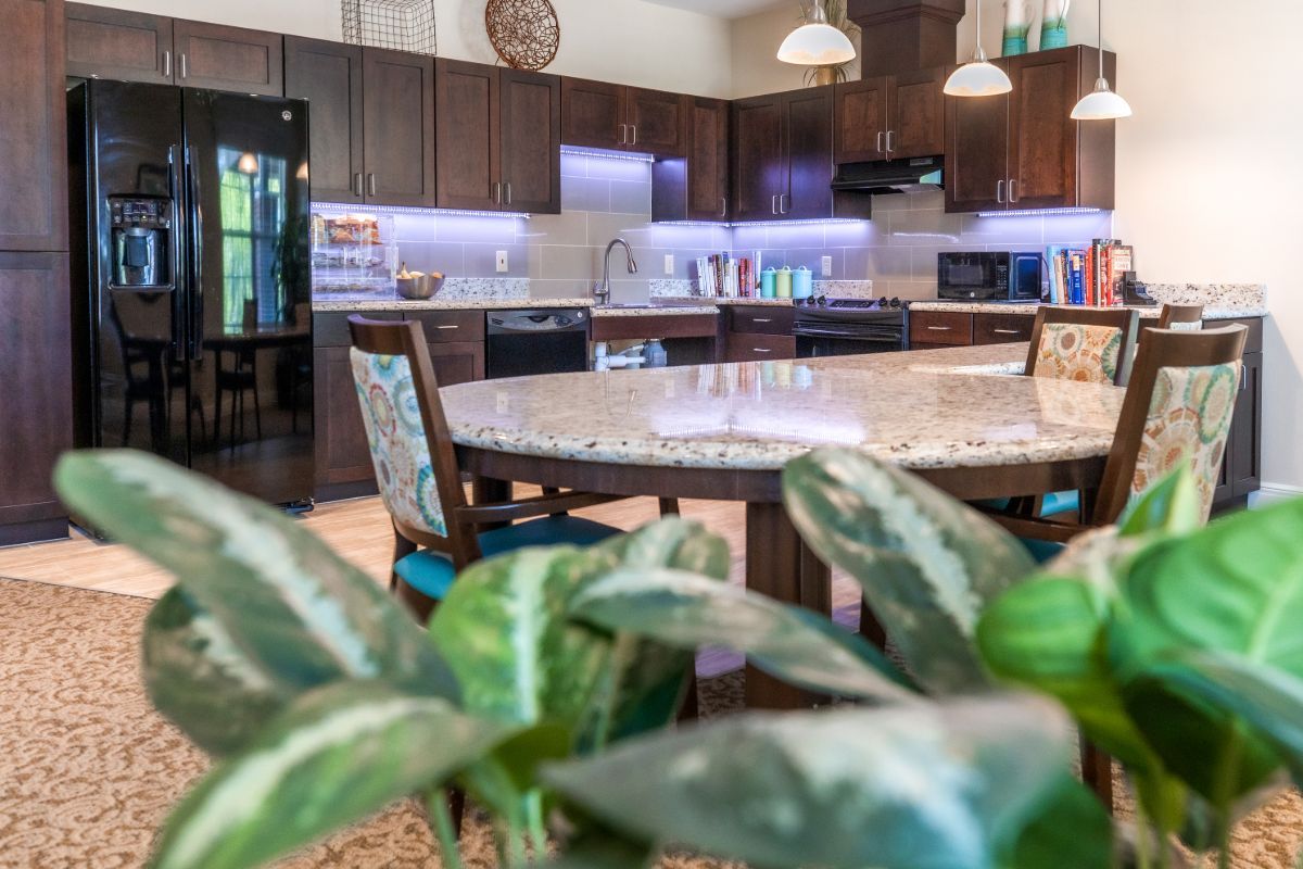 A modern kitchen interior with wooden cabinets and a large granite countertop, featuring decorative plants in the foreground.