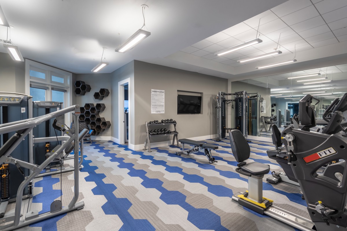 A sleek, modern gym equipped with various exercise machines and weights.