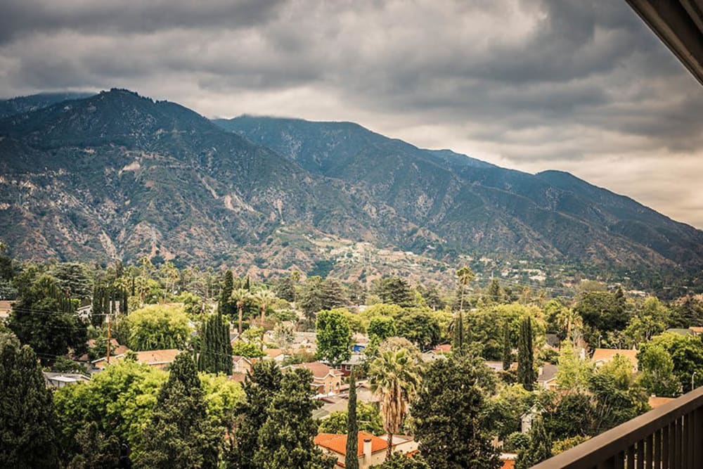 A scenic view of lush green trees with mountains in the background under a cloudy sky.