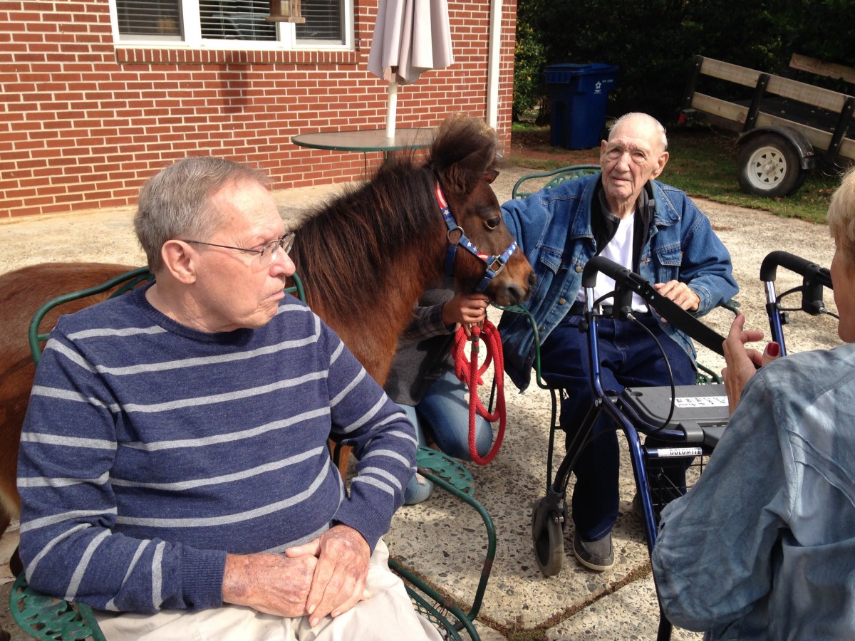 Elderly men interacting with a horse outdoors.
