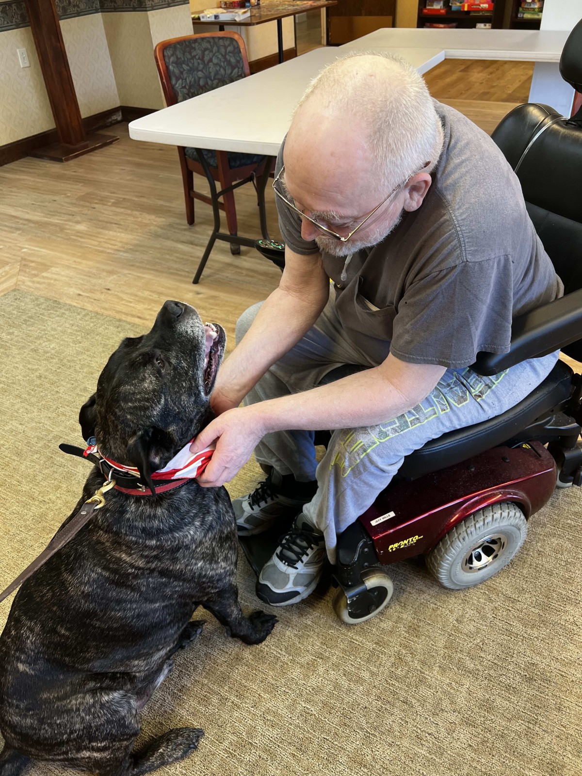 A man in a wheelchair interacting with a dog indoors.