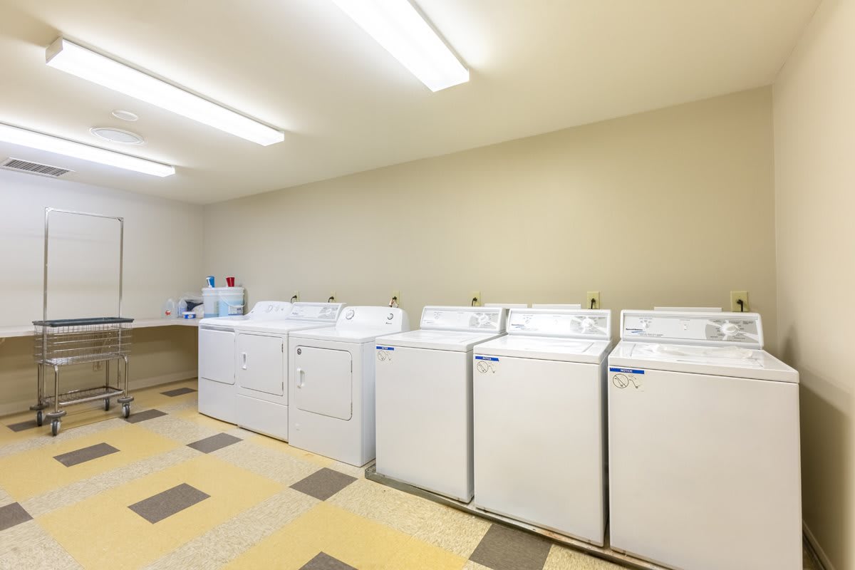 A well-lit laundry room with a row of washing machines.