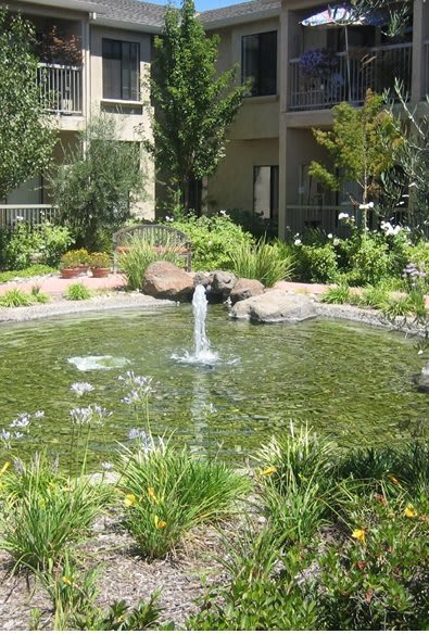 A tranquil garden pond featuring a central fountain surrounded by lush greenery.
