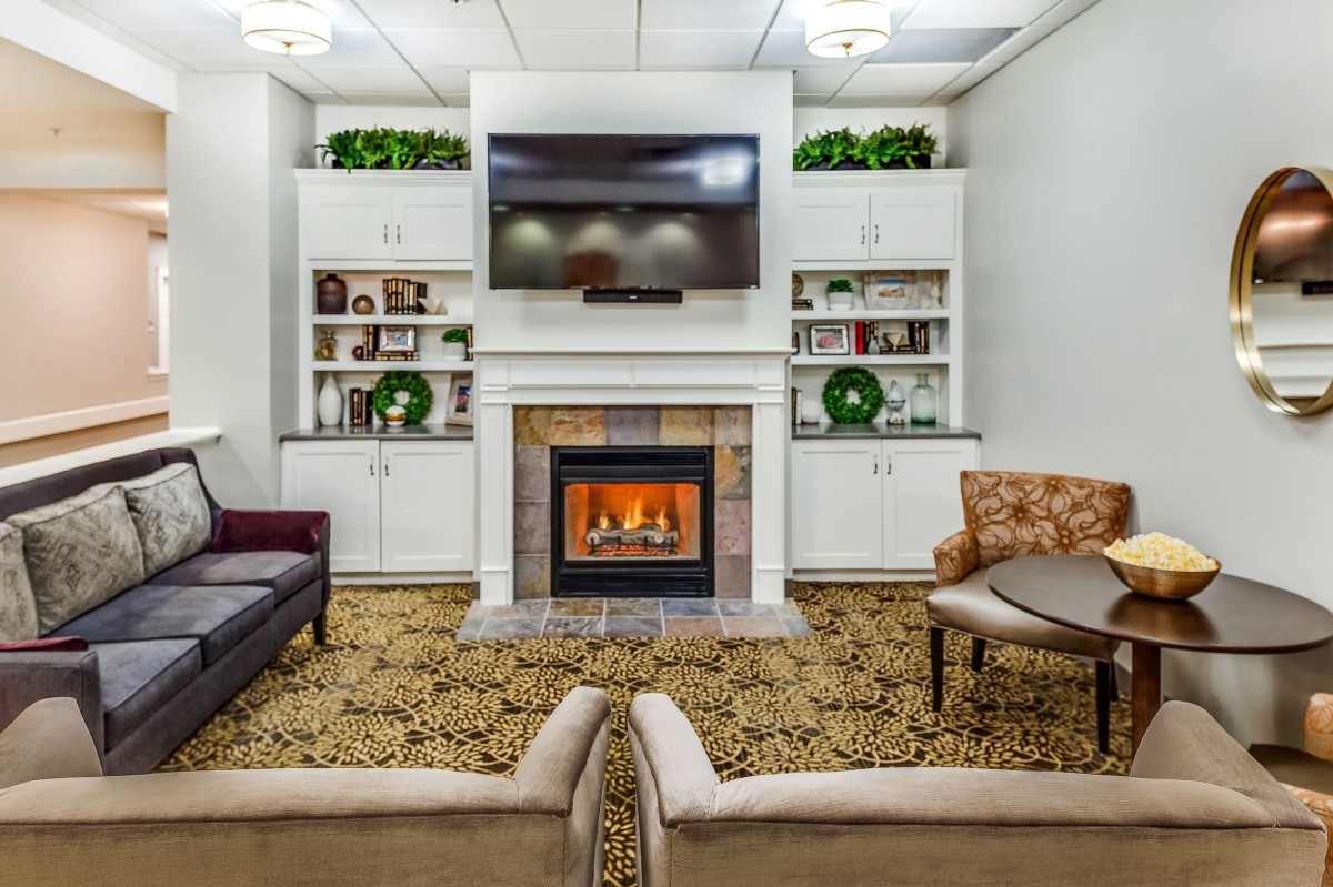 A cozy living room featuring a fireplace and television, surrounded by comfortable seating and decorative shelves with plants.
