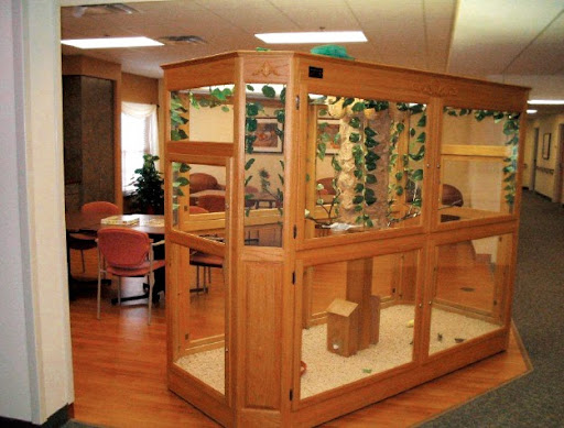 A well-designed indoor animal enclosure featuring a wooden frame and plants, creating a natural atmosphere.