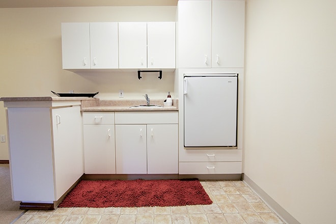 A minimalistic kitchen with white cabinets and a red rug on the floor.