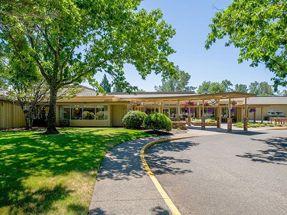A view of a school building surrounded by trees on a sunny day.