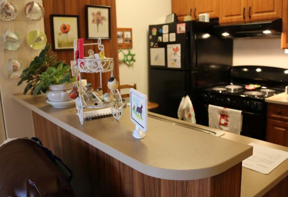 A cozy kitchen with a modern countertop and various decorative elements.