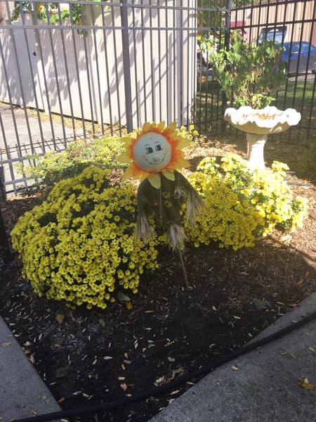 A garden scene with a decorative sunflower amidst yellow flowers and a birdbath.