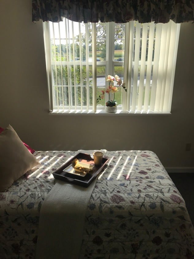 A cozy bedroom setting with a tray of breakfast and a vase of flowers by the sunlit window.