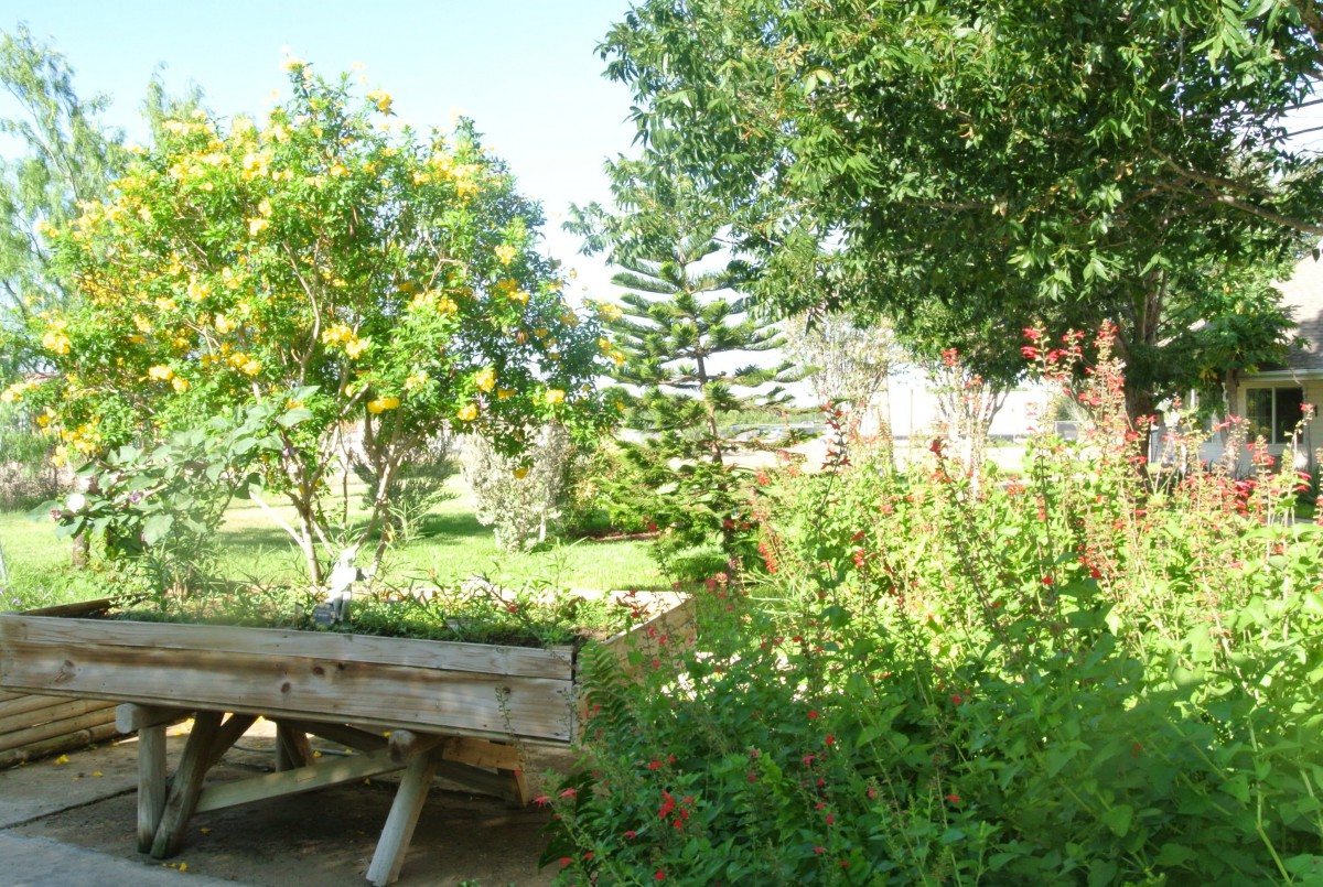 A lush garden scene featuring a variety of trees and plants under a clear sky.