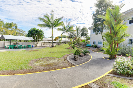 A serene outdoor space featuring a winding pathway surrounded by lush greenery and palm trees.