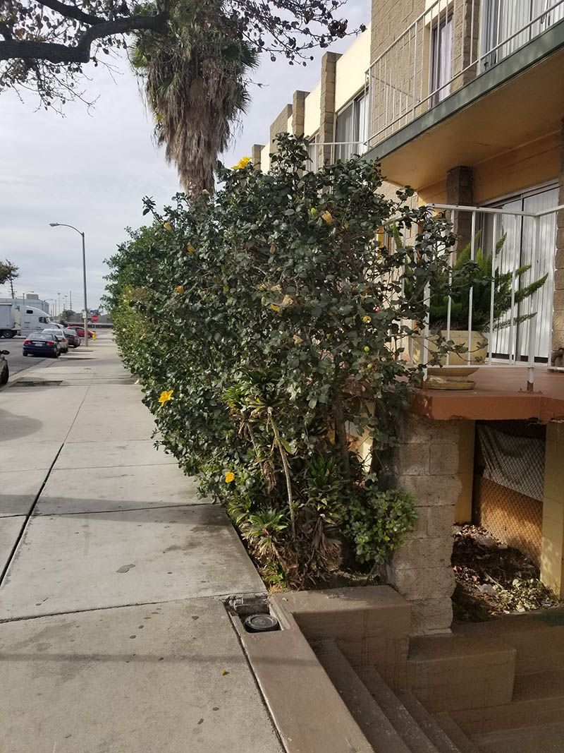 Country Inn Of Downey