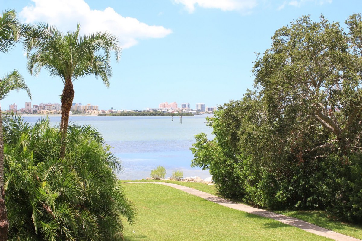 A scenic view of a waterfront landscape with palm trees and a clear sky.