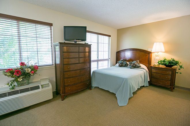 A cozy bedroom with a dresser, television, bed, and a lamp by the window.