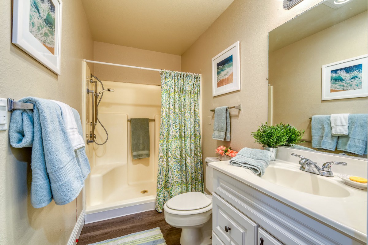 A well-lit bathroom featuring a shower, toilet, sink, and decorative elements.