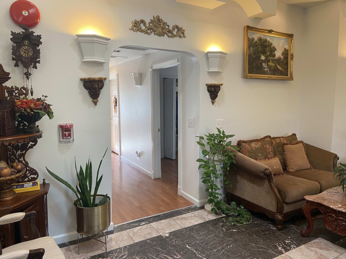 A cozy living room with elegant decor and indoor plants leading to a hallway.