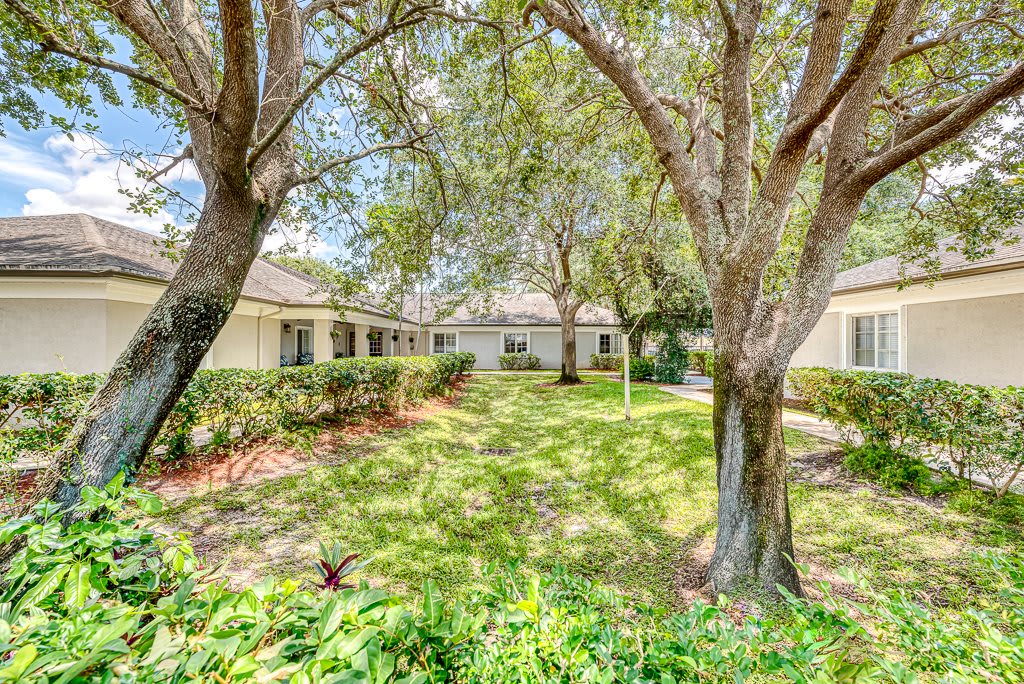 A serene courtyard with lush greenery and trees shading a building under bright sunlight.
