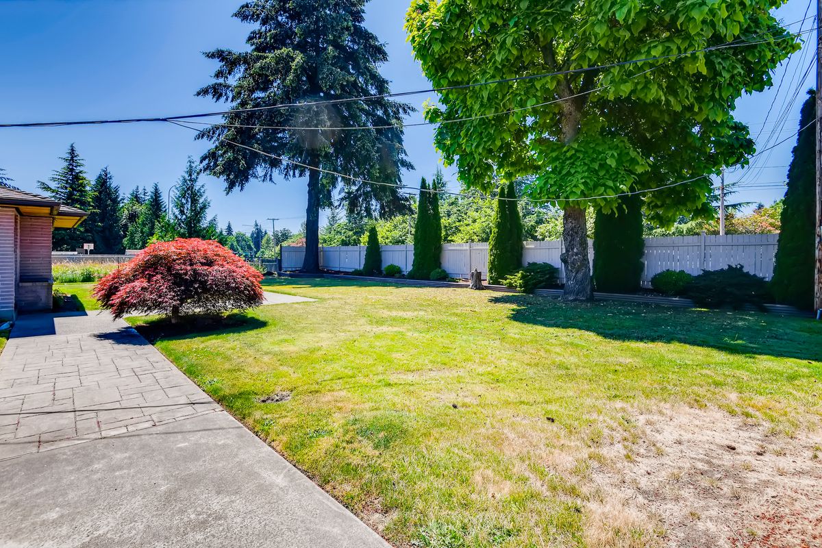 A sunny garden featuring a well-maintained lawn and various trees.