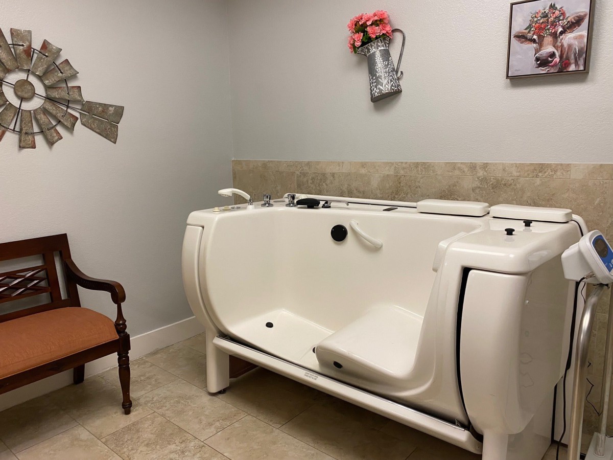 An accessible bathtub in a stylish bathroom with decorative elements.