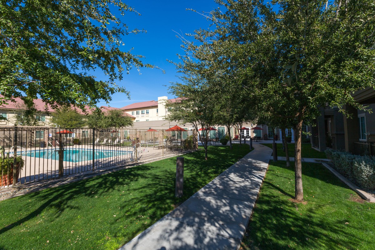 A peaceful outdoor area with a swimming pool, surrounded by trees and a pathway beside a building.