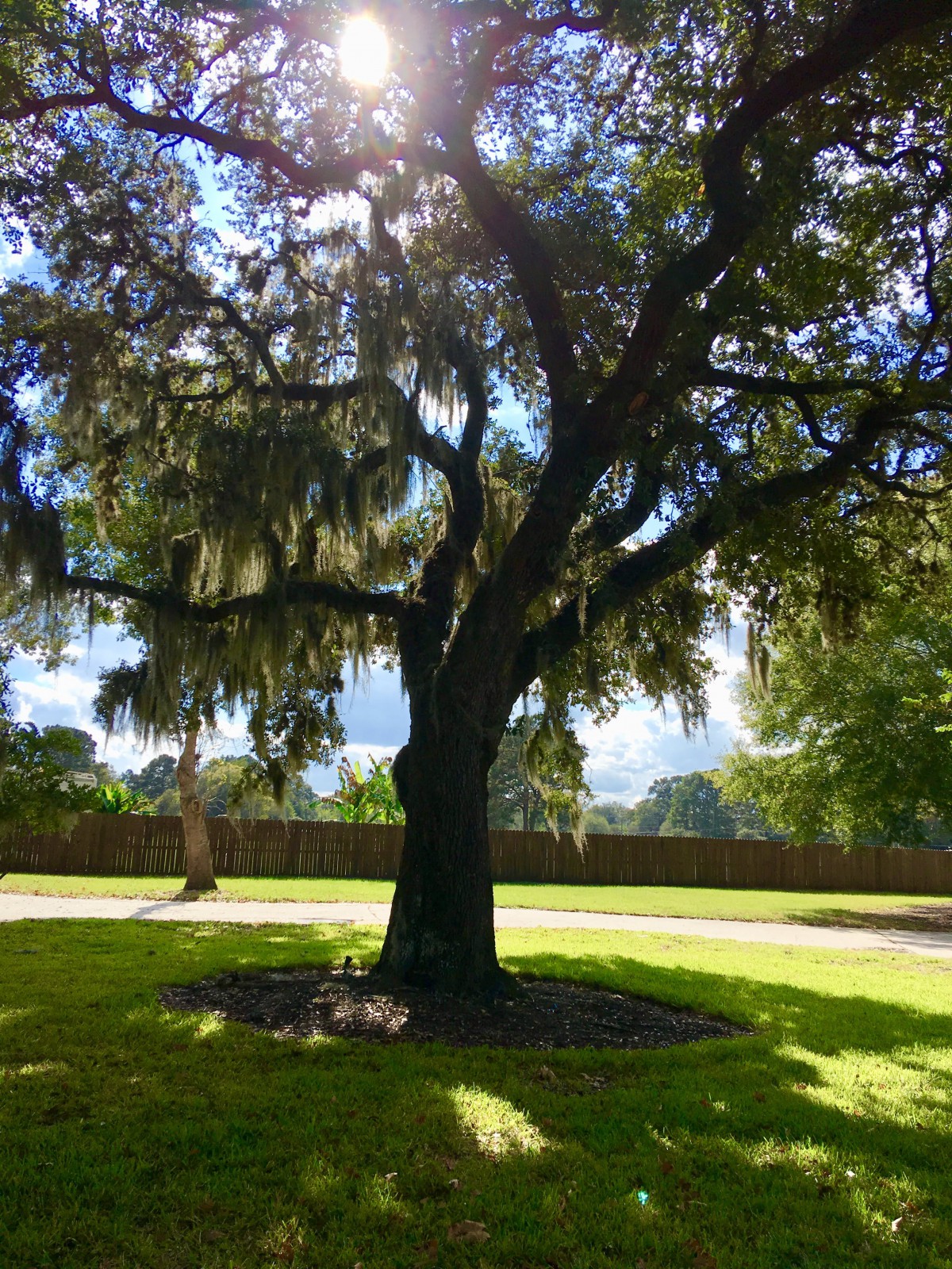 Valiente Senior Living