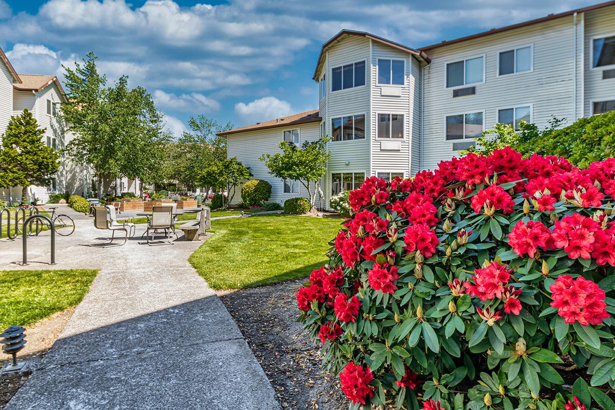 A well-maintained garden with red flowers and a pathway leading to a residential building.