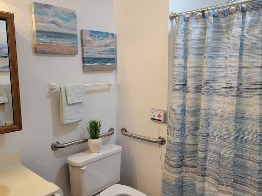 A cozy bathroom featuring beach-themed decor, a colorful shower curtain, and a touch of greenery.