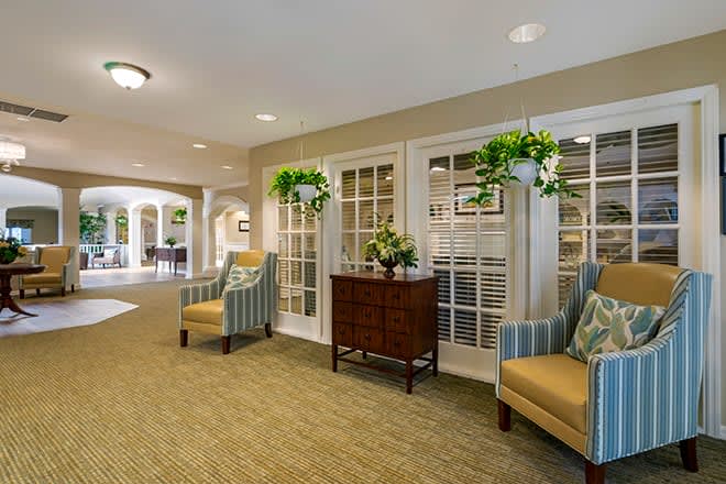 A cozy living space with comfortable chairs, decorative plants, and warm lighting.