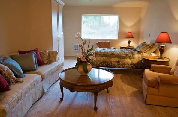 A cozy and well-decorated bedroom featuring a bed, sofa, and coffee table with a decorative plant, illuminated by a bedside lamp.