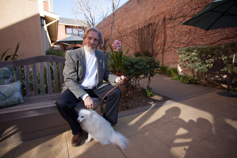A man sitting on a bench in a garden with a small white dog.