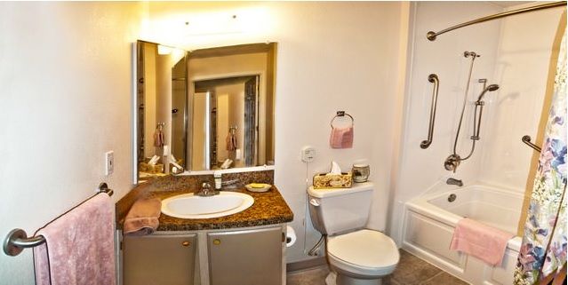 A well-lit bathroom with a sink, mirror, and toilet featuring elegant decor.
