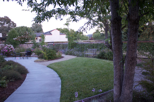 A serene view of a backyard garden featuring a winding pathway, lush grass, and surrounding trees.