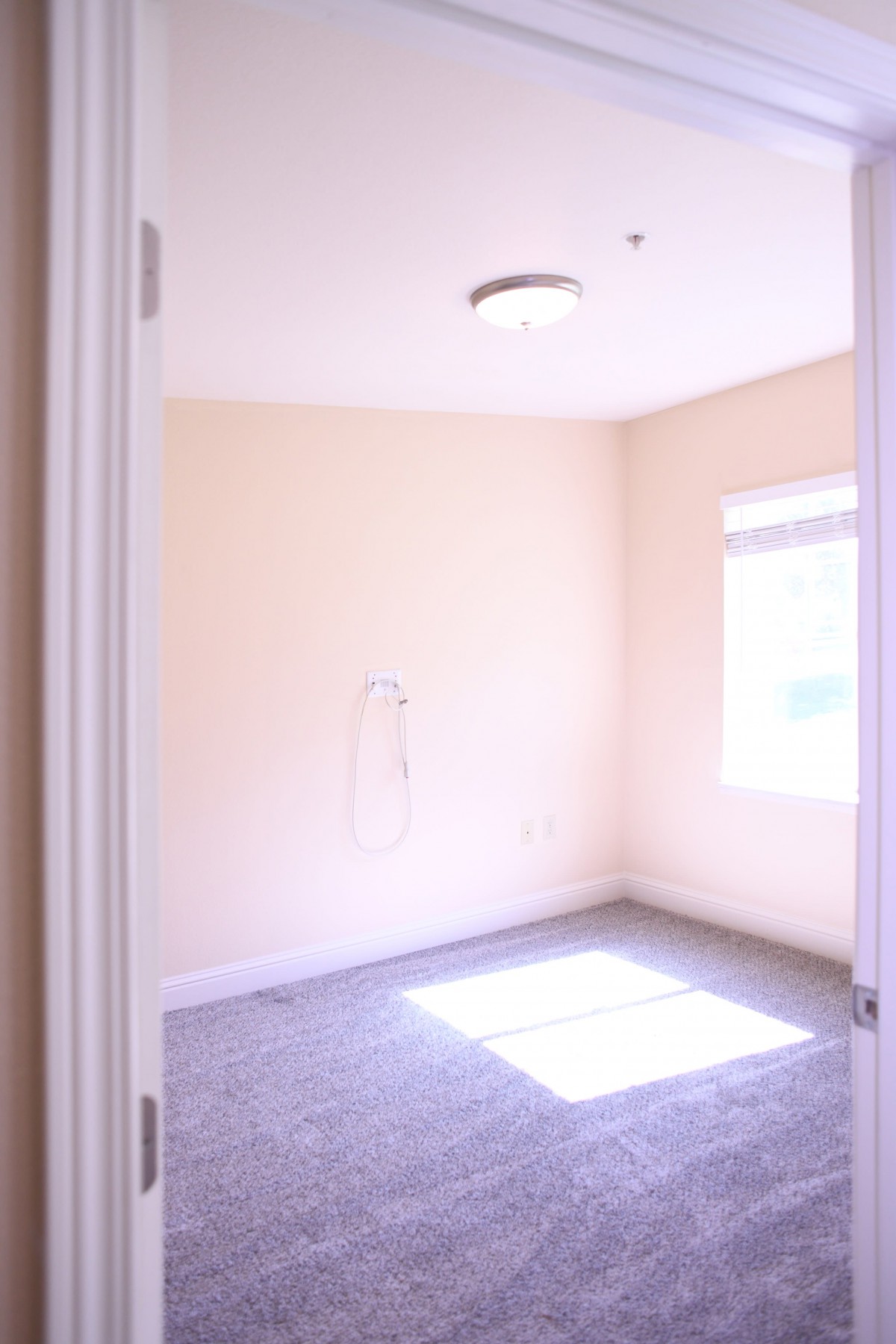 A bright, empty room with a window and carpeted floor.