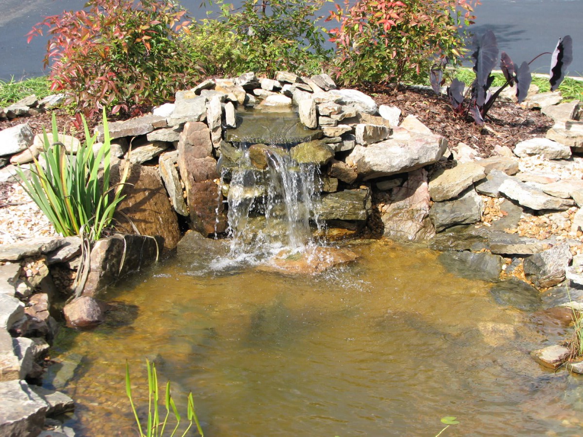 A small garden pond with a waterfall cascading over rocks.