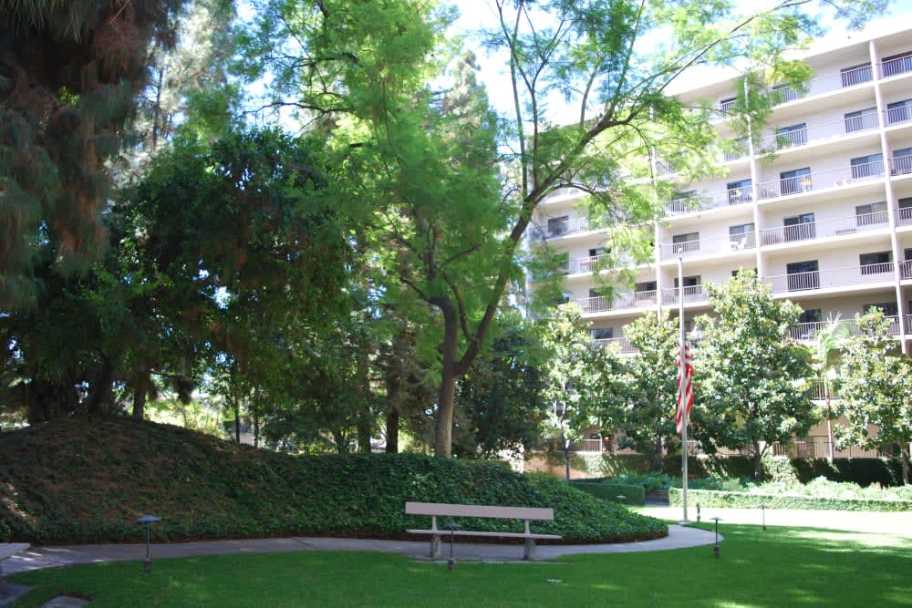 A tranquil urban park area with a bench, surrounded by lush trees and adjacent to a tall building.