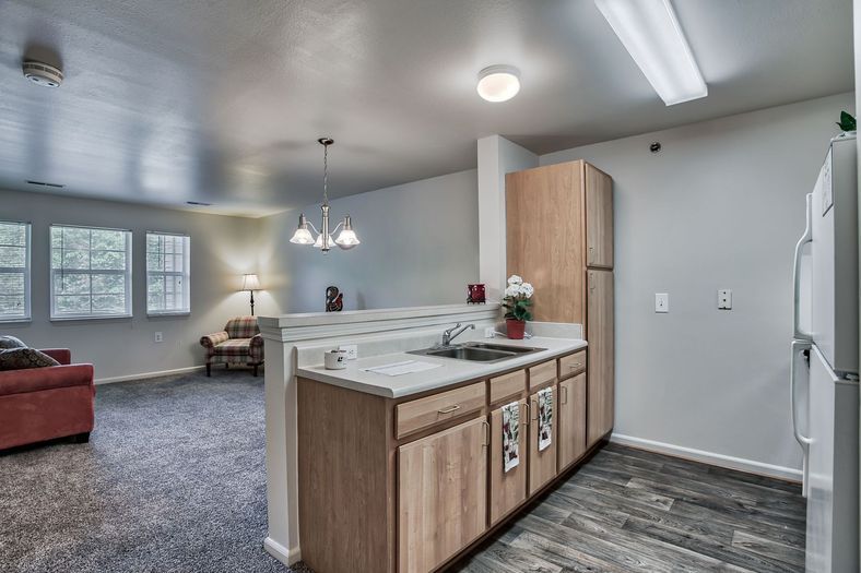 An open-layout apartment featuring a kitchen with light wooden cabinets and a countertop, leading into a carpeted living and dining area.