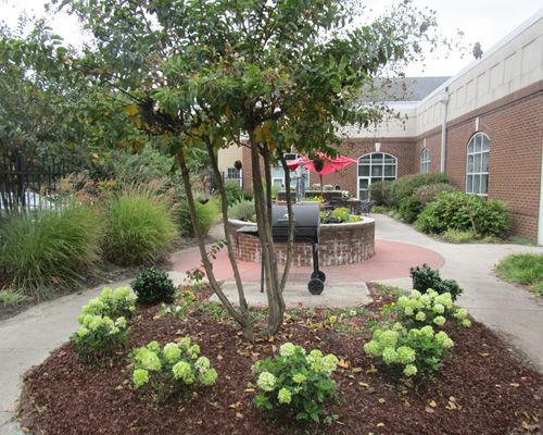 A beautifully landscaped garden with shrubs and flowers surrounding a patio area with outdoor seating.