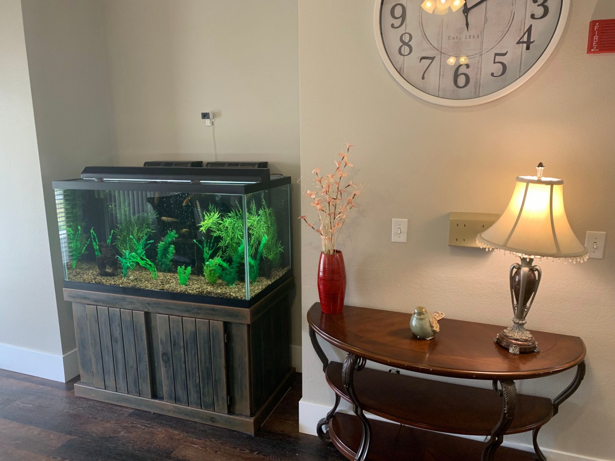 A cozy corner of a home featuring an aquarium, a large wall clock, and a lamp on a wooden table.