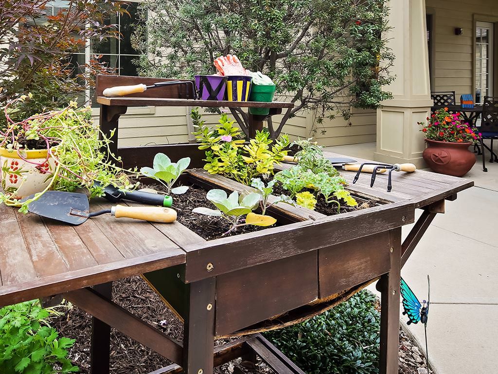 A wooden garden table with various plants and gardening tools in an outdoor setting.