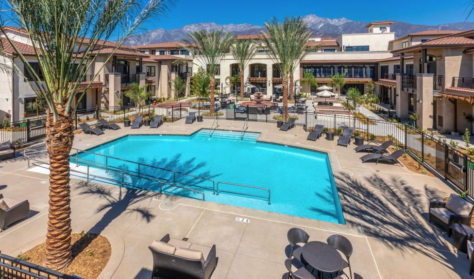 A luxurious outdoor swimming pool area surrounded by palm trees and lounge chairs at a resort.