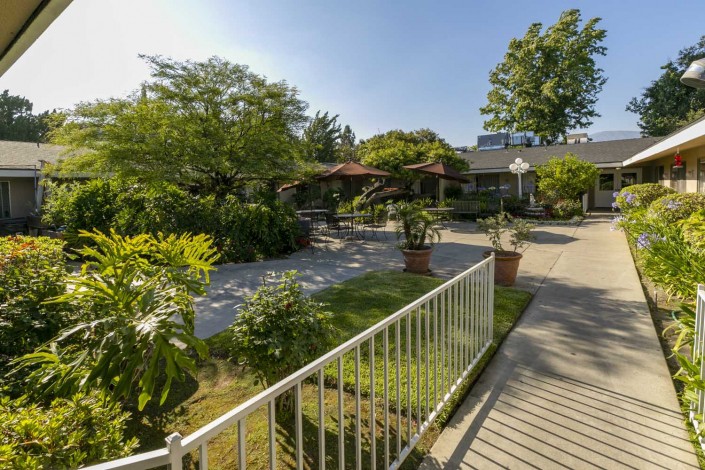 A tranquil garden pathway surrounded by lush greenery on a sunny day.