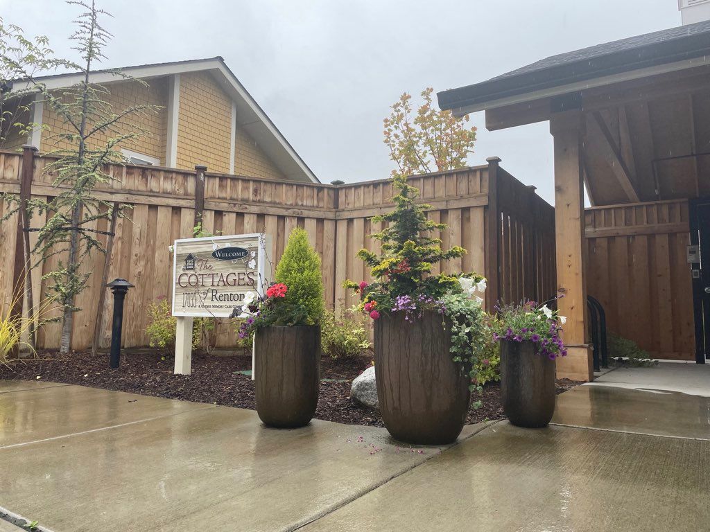 A rainy day at a house entrance with potted plants and a wooden fence.