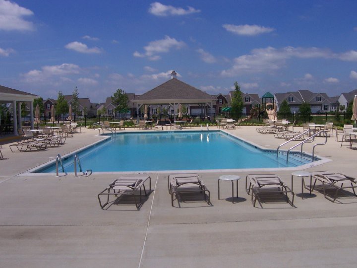 Spring Arbor