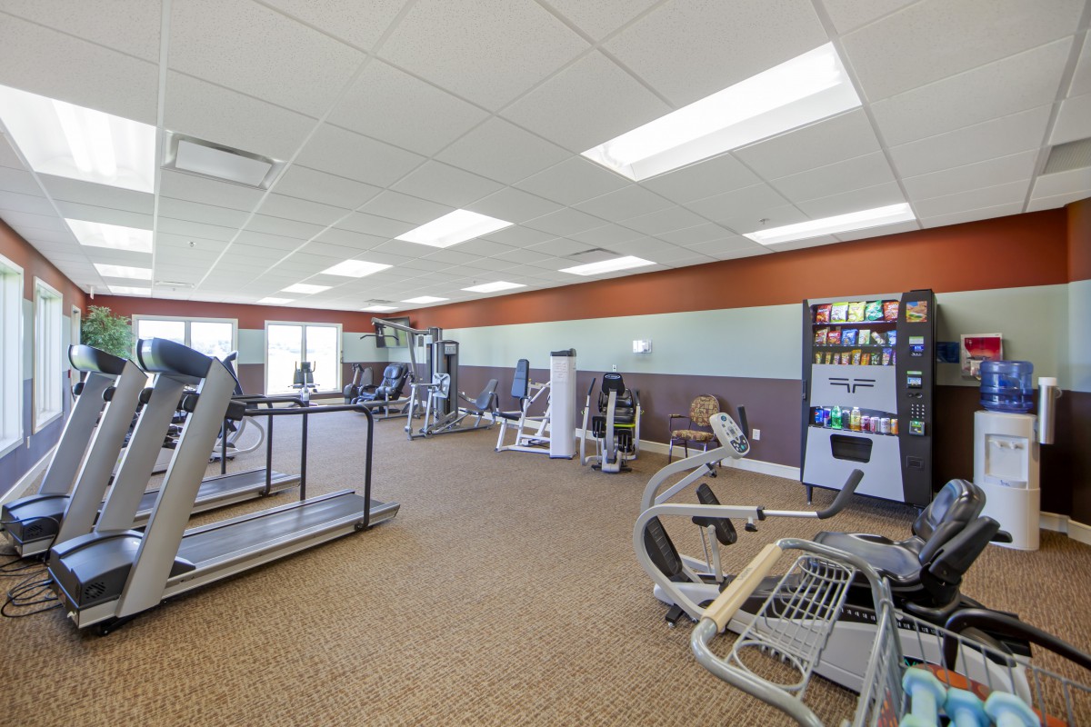 A well-equipped gym with various exercise machines and treadmills.