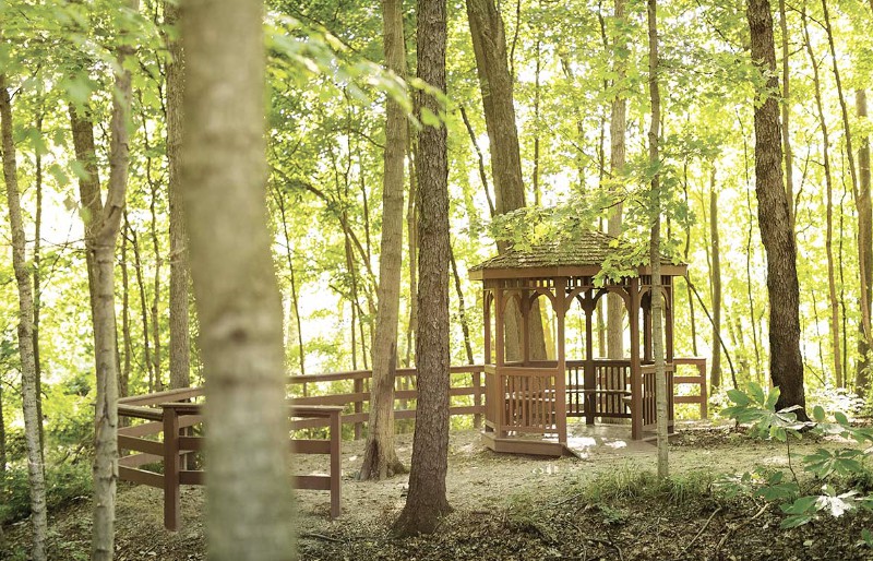 A serene wooden gazebo nestled among tall trees in a lush forest setting.
