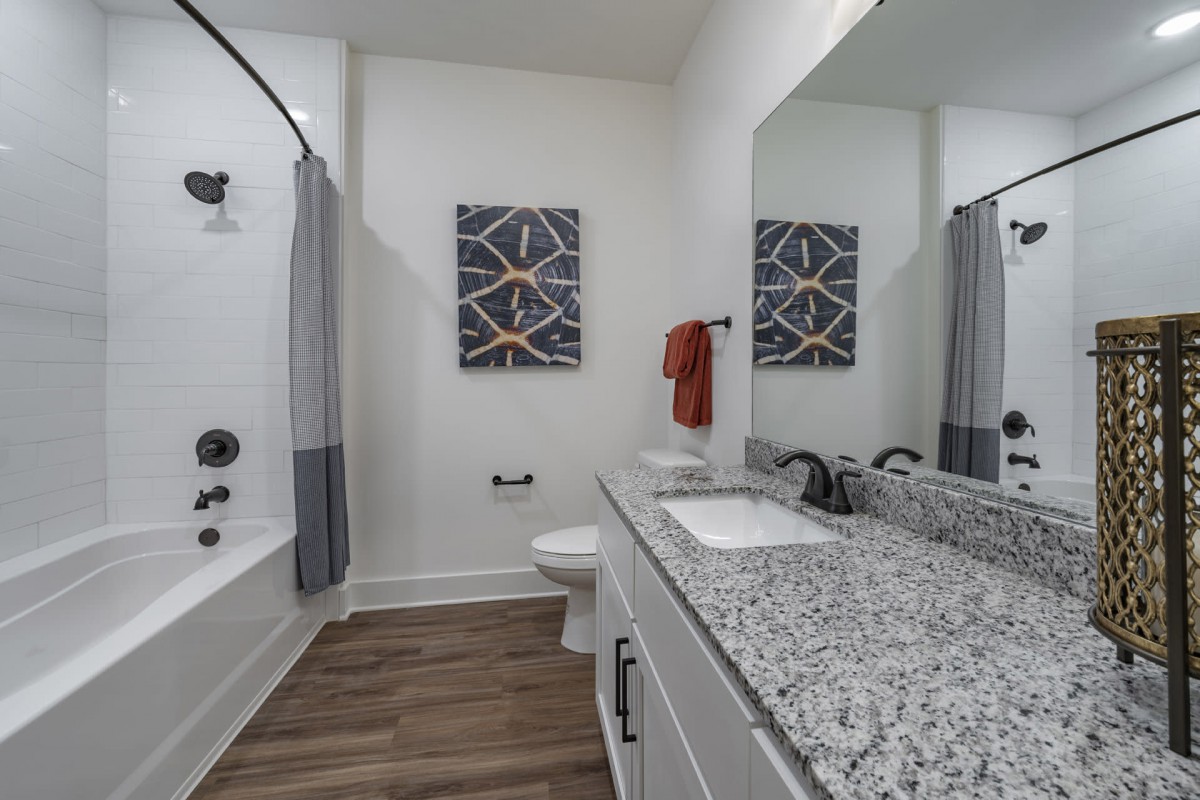 A modern bathroom with a granite countertop, wood flooring, and wall artwork.